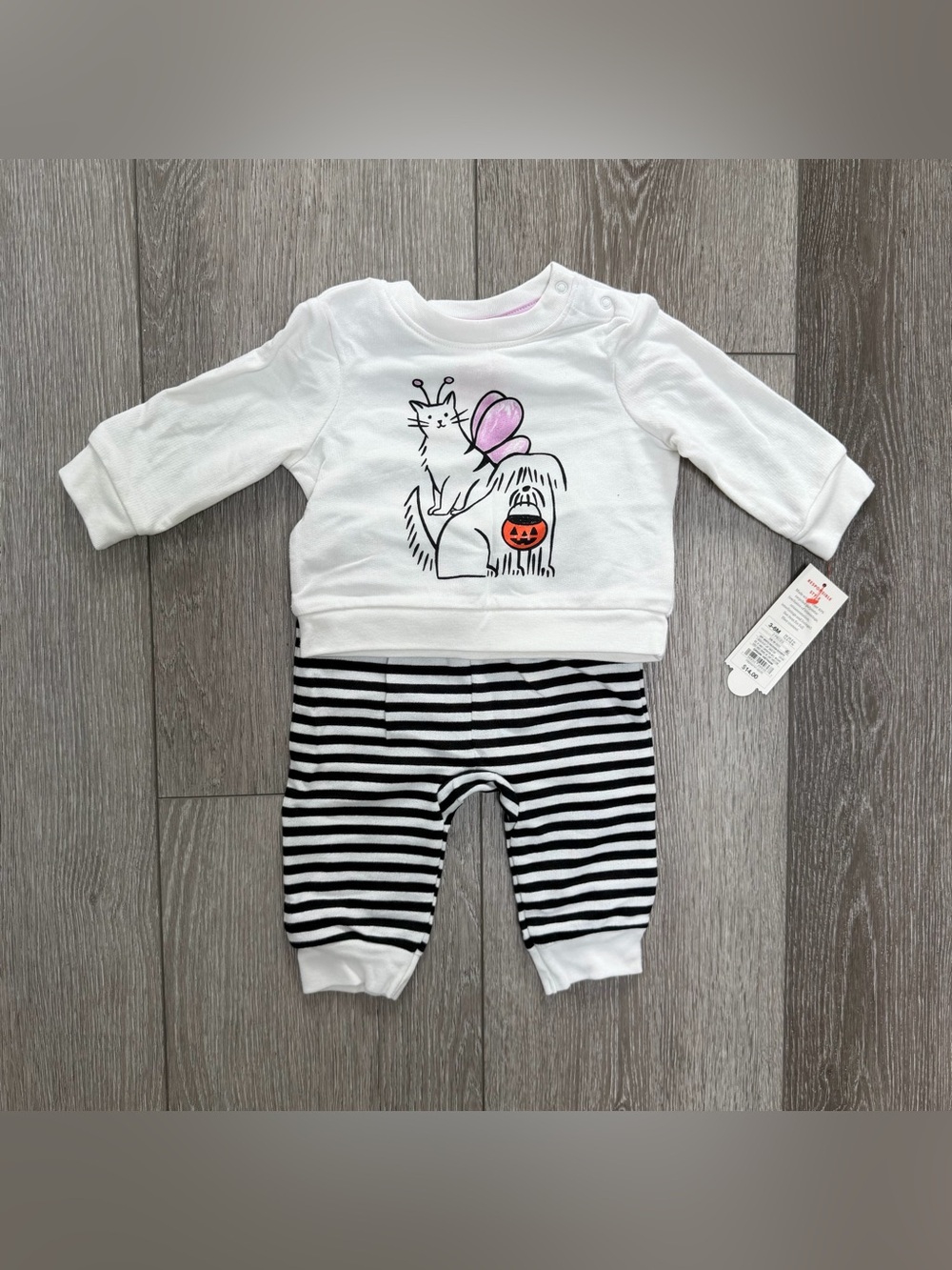 CAT AND JACK 2PC HALLOWEEN LONG SLEEVE TOP AND PANTS OUTFIT DOG CAT 3-6MO 6-9MO